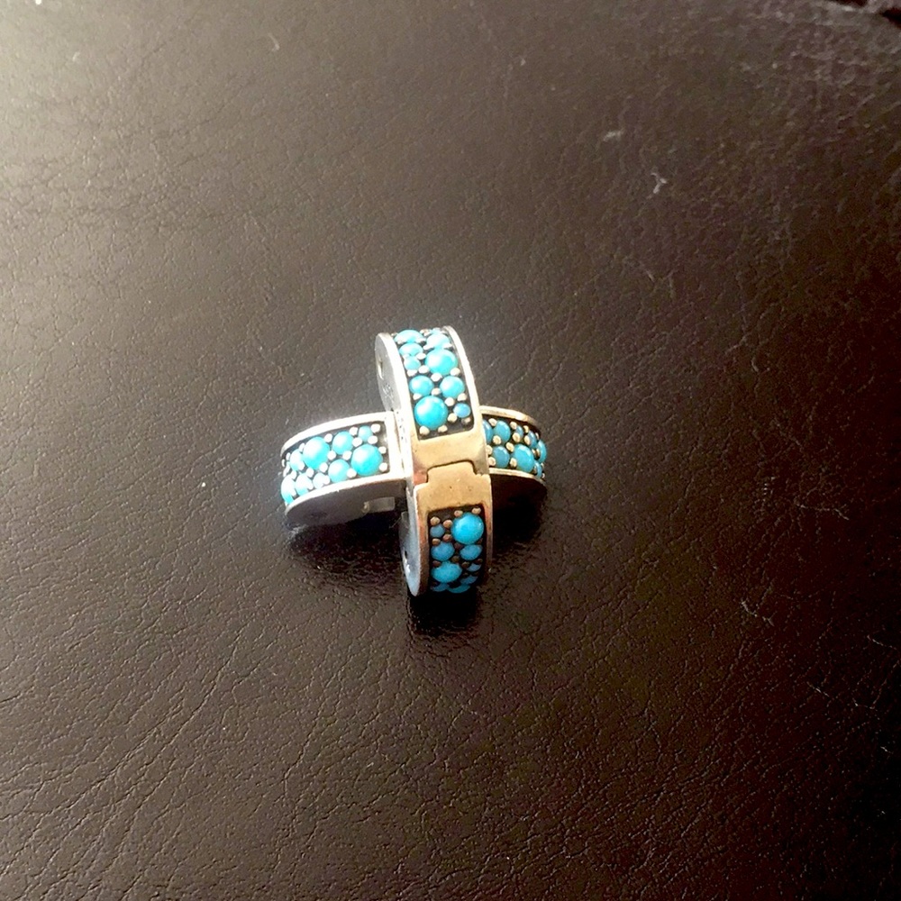 Pandora clips